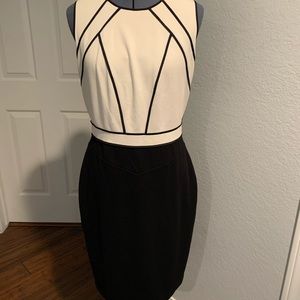 WHBM sheath dress size 12